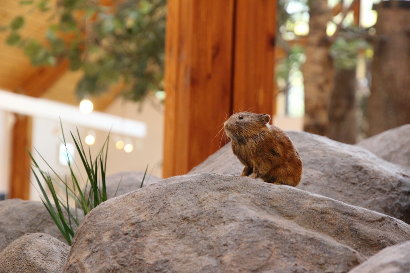 ファイル 149-8.jpg