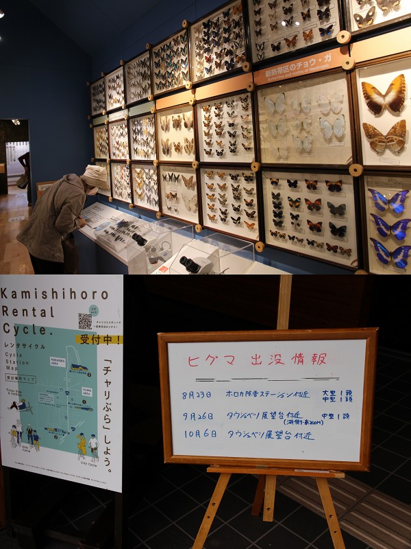 ファイル 149-9.jpg