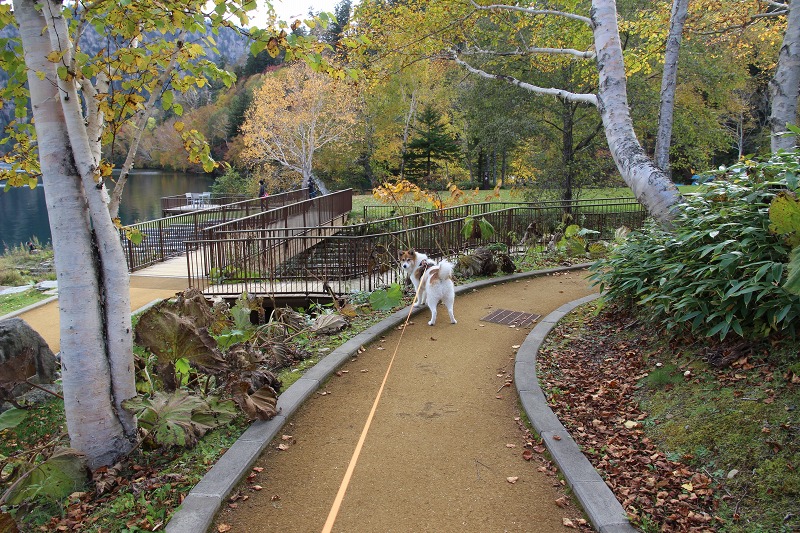 ファイル 150-3.jpg