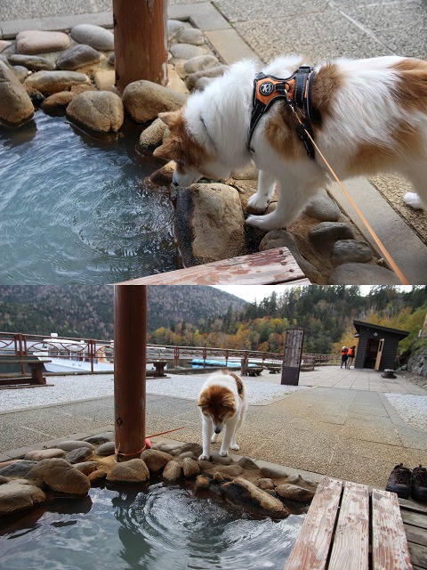 ファイル 150-7.jpg