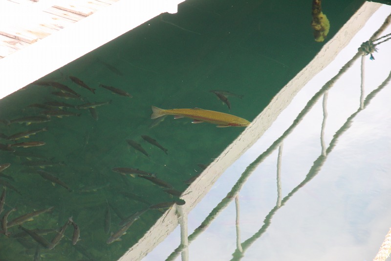 ファイル 150-8.jpg