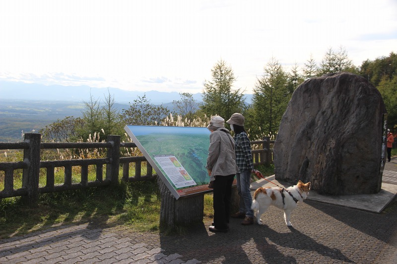 ファイル 152-2.jpg