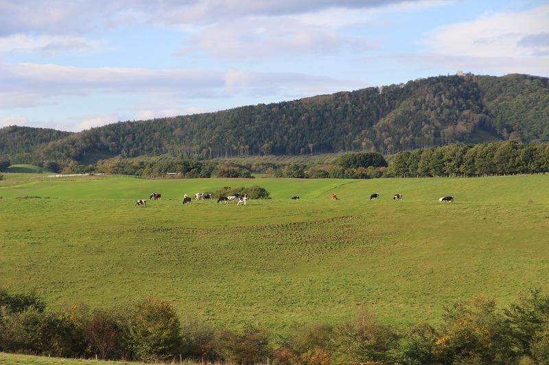 ファイル 152-5.jpg