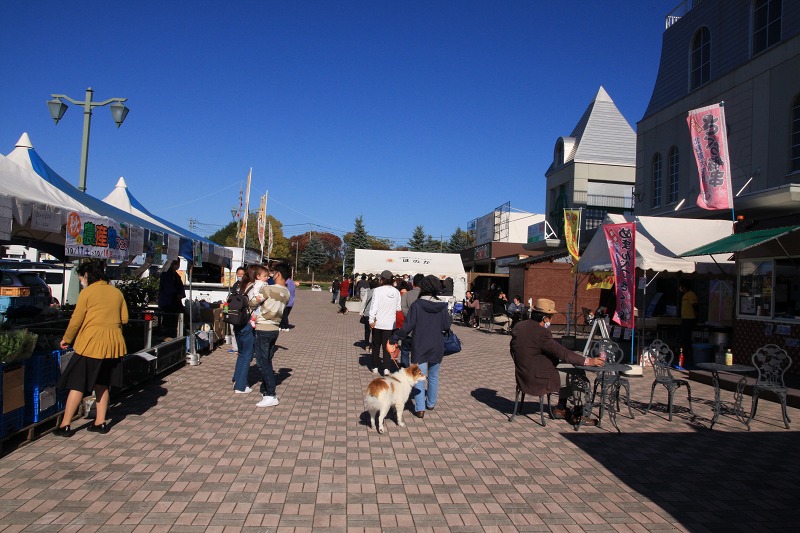 ファイル 153-1.jpg