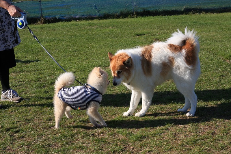 ファイル 153-2.jpg