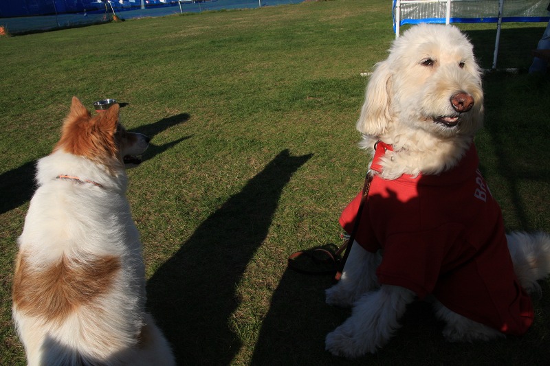 ファイル 153-4.jpg