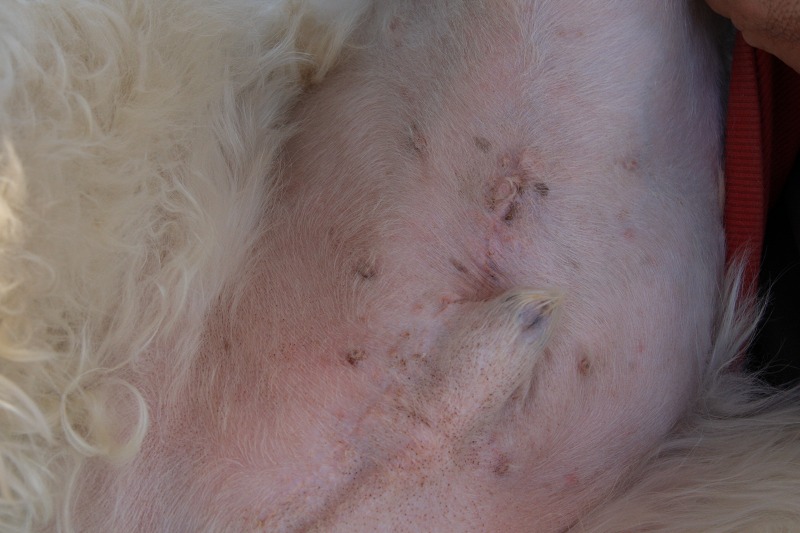 ファイル 153-7.jpg