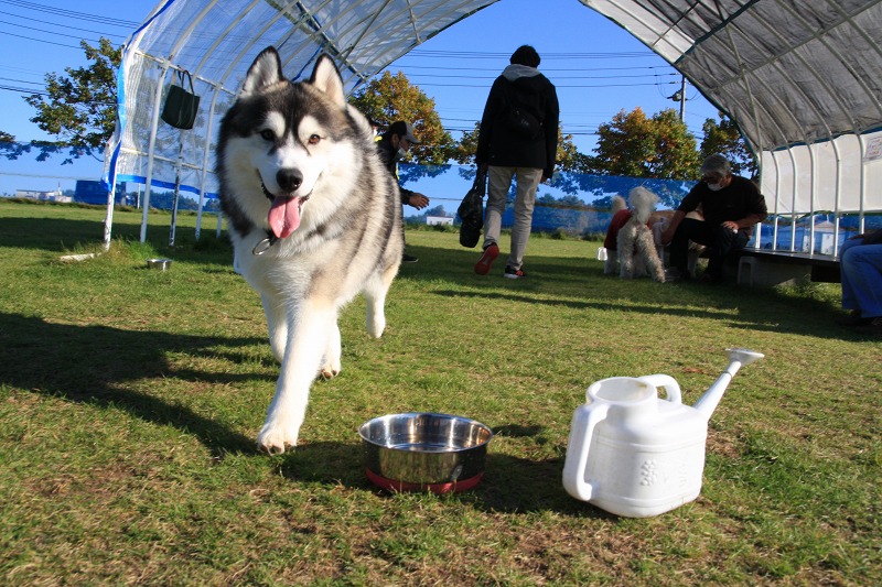 ファイル 153-8.jpg