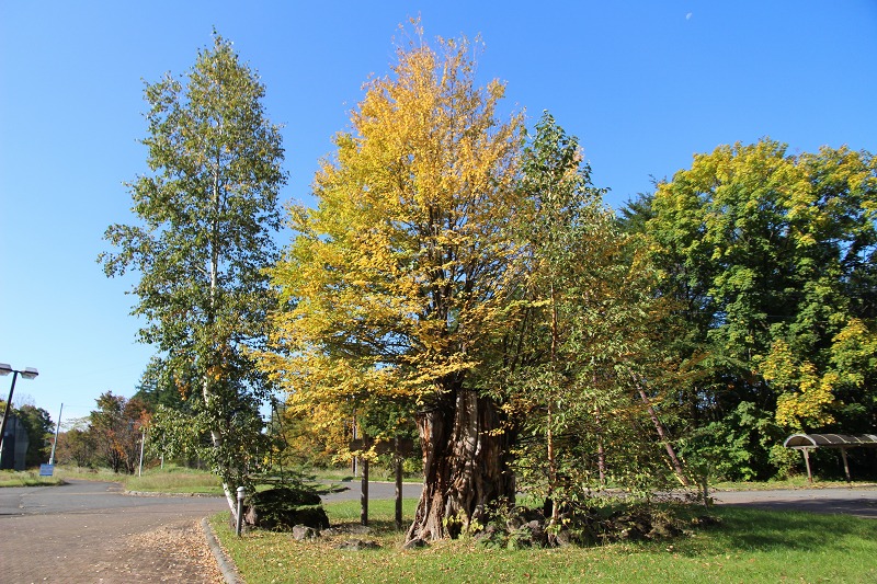 ファイル 154-3.jpg