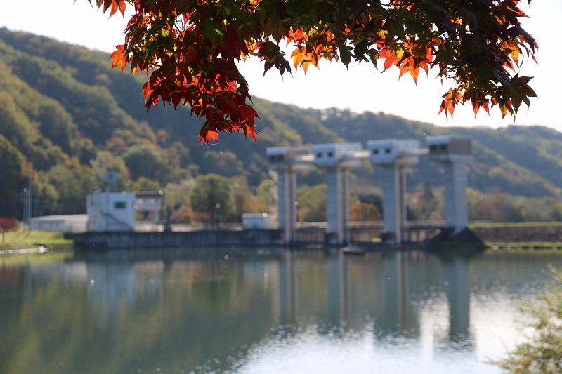 ファイル 154-4.jpg