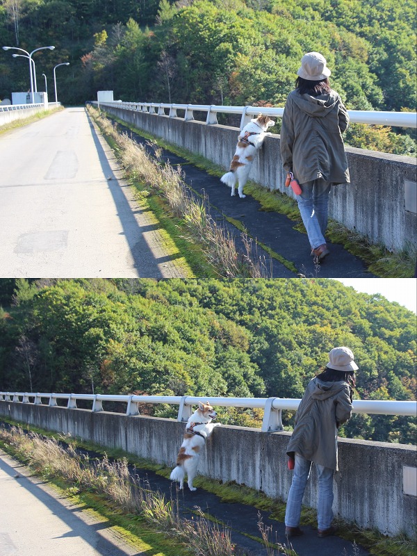 ファイル 154-6.jpg