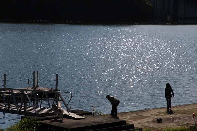 ファイル 154-7.jpg