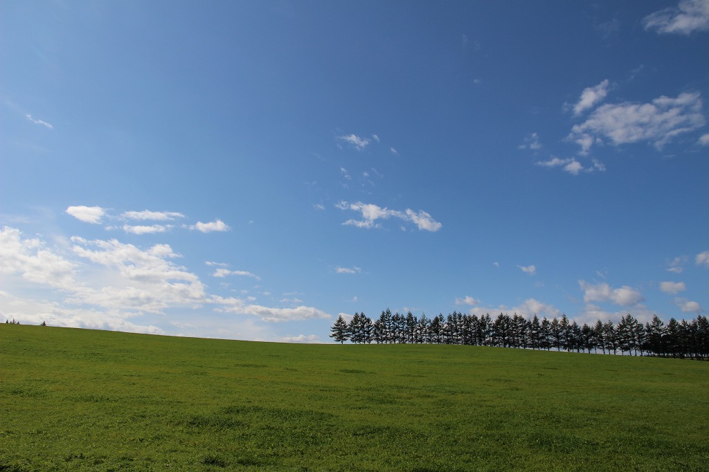 ファイル 154-9.jpg