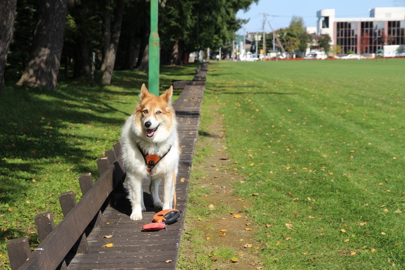 ファイル 155-2.jpg