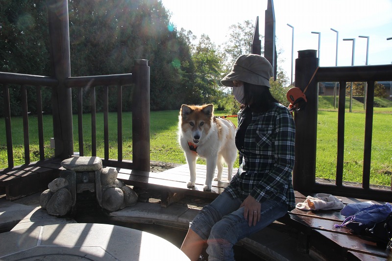 ファイル 155-6.jpg