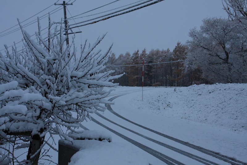 ファイル 157-1.jpg