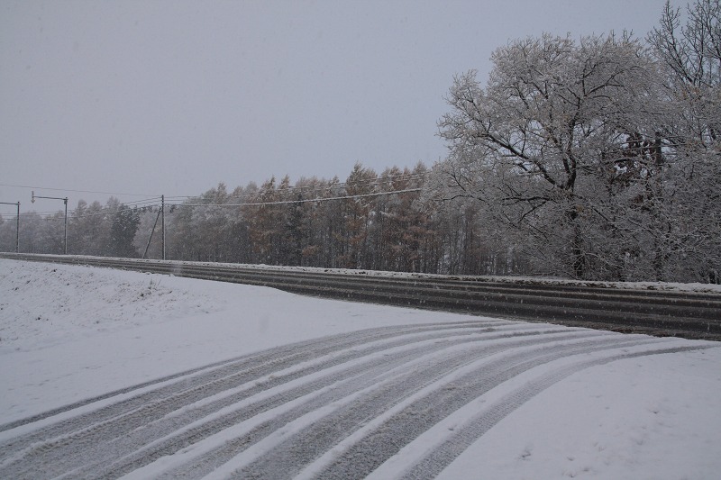 ファイル 157-2.jpg