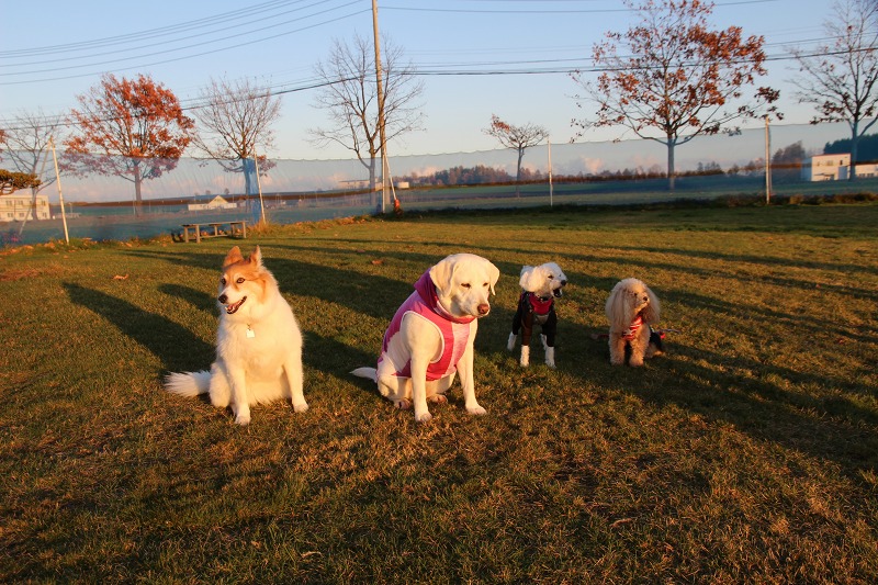 ファイル 157-8.jpg