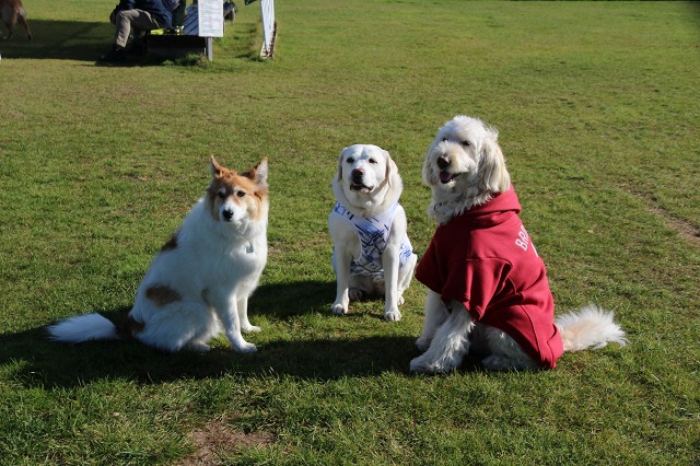 ファイル 158-7.jpg