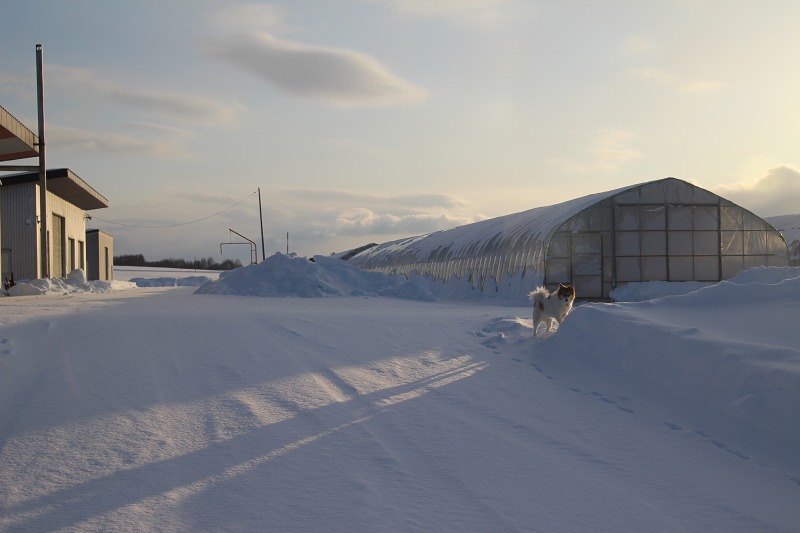 ファイル 16-2.jpg