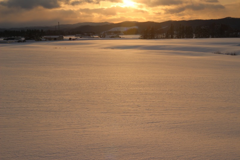 ファイル 16-5.jpg