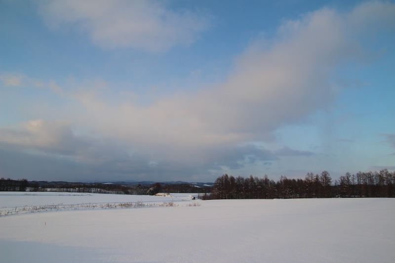 ファイル 16-7.jpg