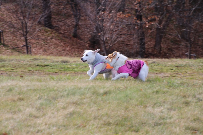 ファイル 160-7.jpg