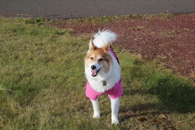 ファイル 162-1.jpg