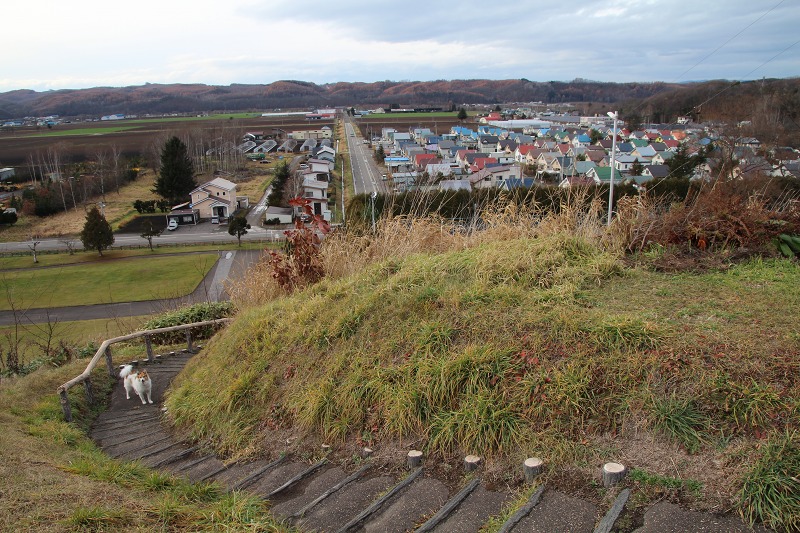 ファイル 163-1.jpg