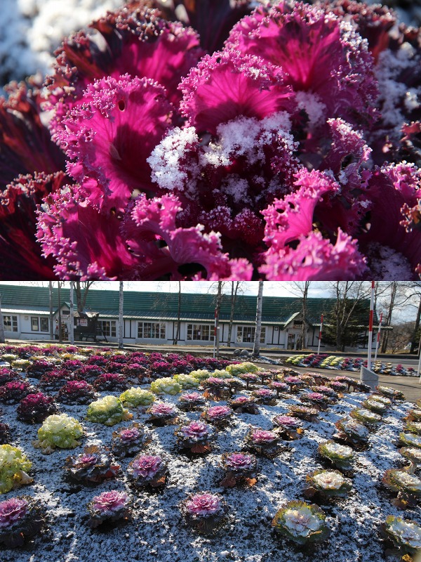 ファイル 165-2.jpg