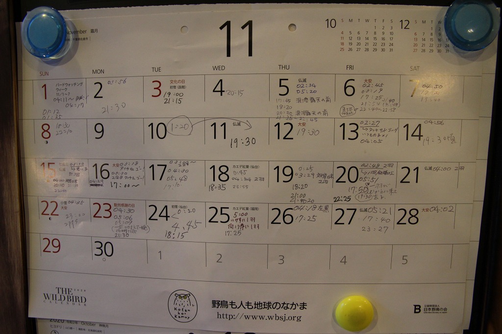 ファイル 166-2.jpg