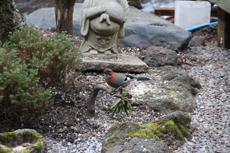 ファイル 166-3.jpg