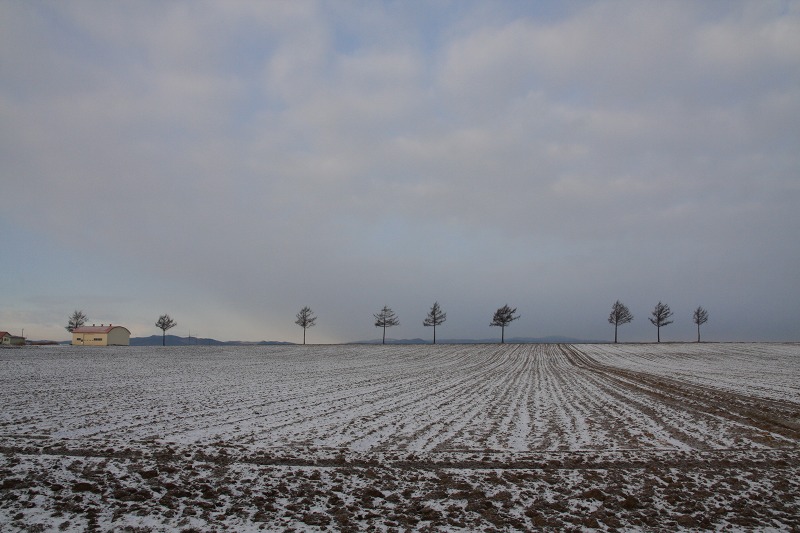 ファイル 168-1.jpg