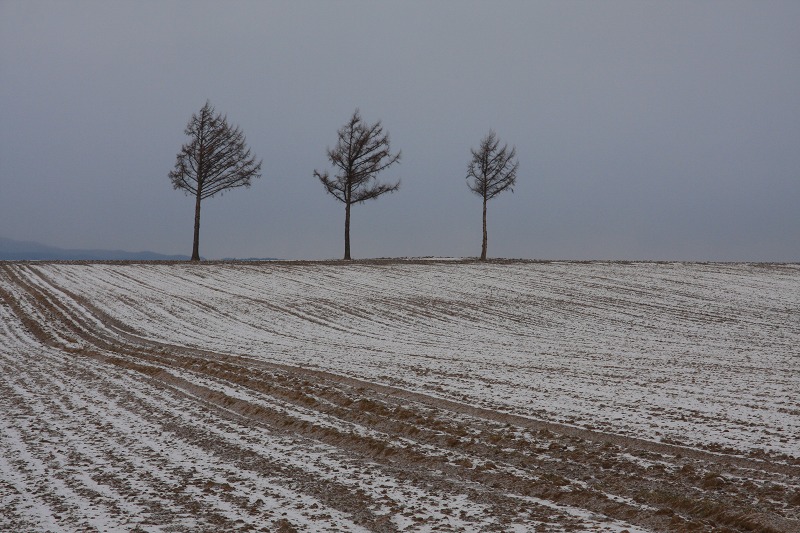 ファイル 168-2.jpg