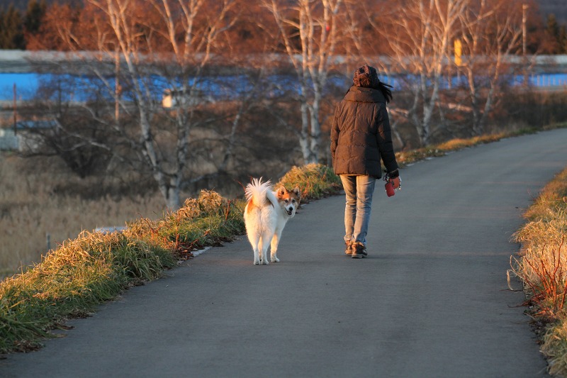 ファイル 168-4.jpg