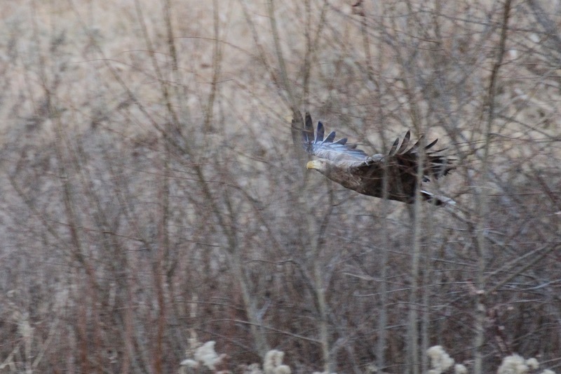 ファイル 168-5.jpg