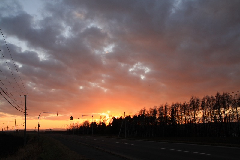 ファイル 168-8.jpg