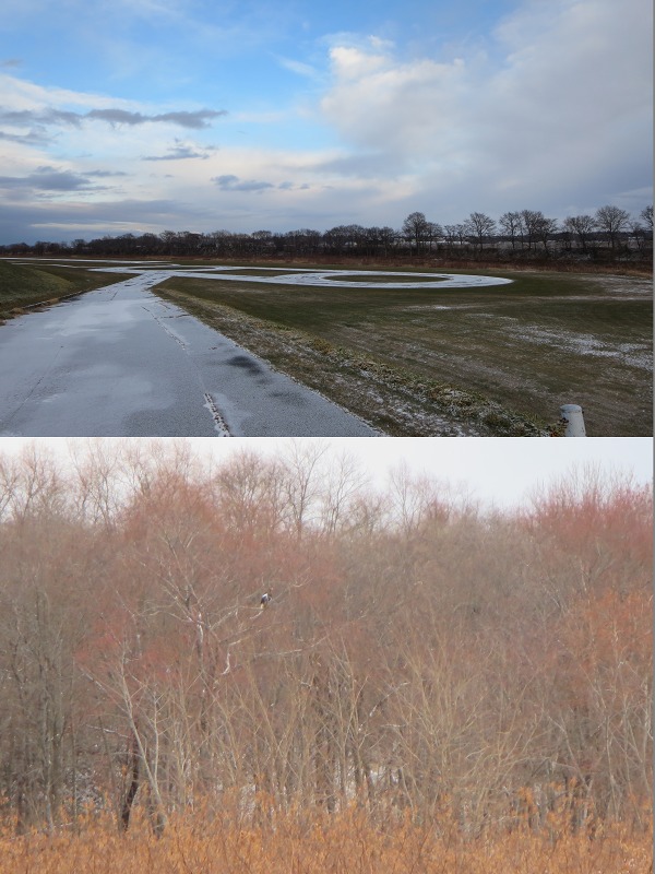 ファイル 169-4.jpg