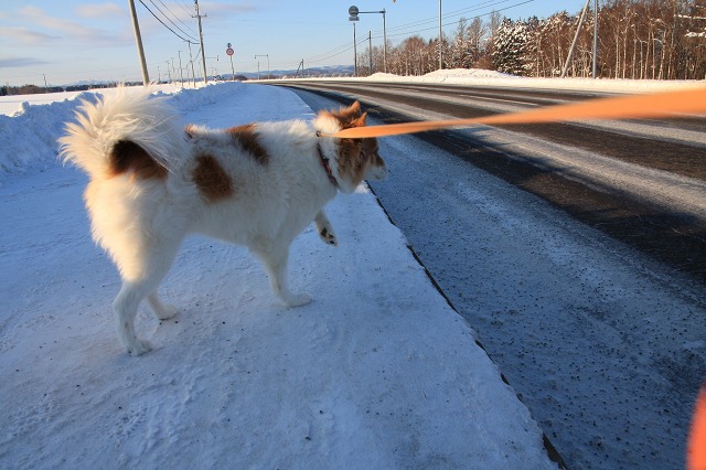 ファイル 17-4.jpg