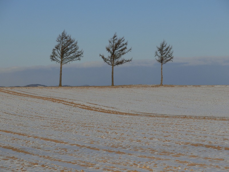 ファイル 171-2.jpg