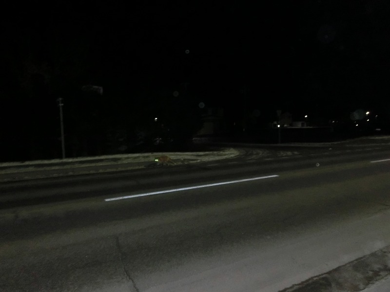 ファイル 171-3.jpg