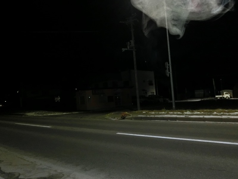 ファイル 171-4.jpg