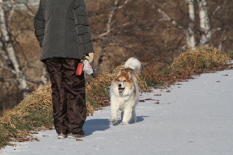 ファイル 172-3.jpg