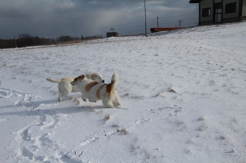 ファイル 173-1.jpg