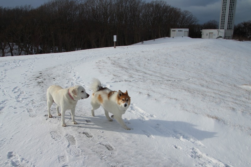 ファイル 173-2.jpg