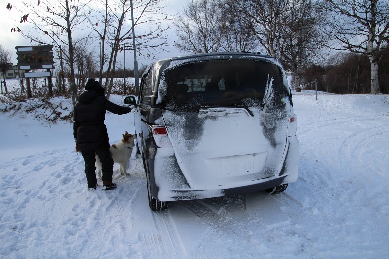 ファイル 173-3.jpg