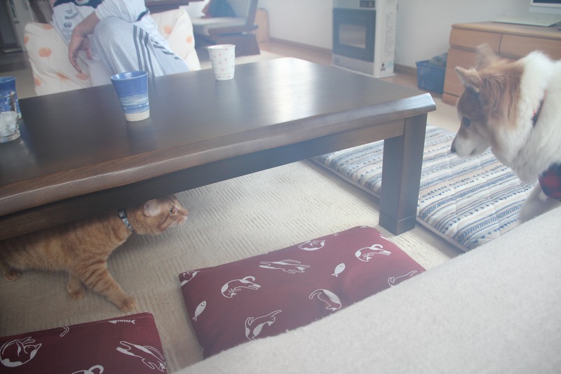 ファイル 173-5.jpg