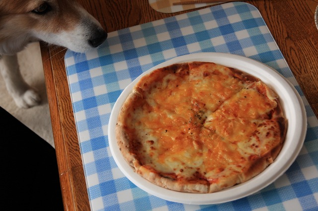 ファイル 18-5.jpg