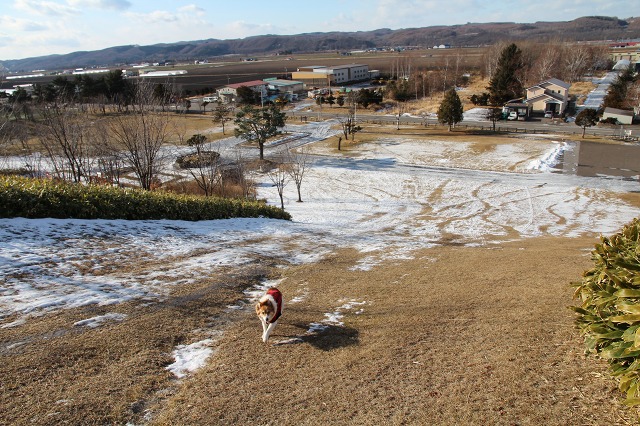 ファイル 2-4.jpg