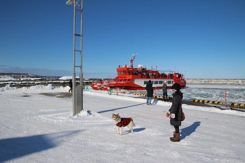 ファイル 21-7.jpg